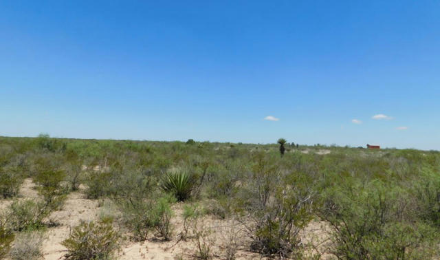 39, 51 PRIVATE RD, DRYDEN, TX 78851 - Image 1