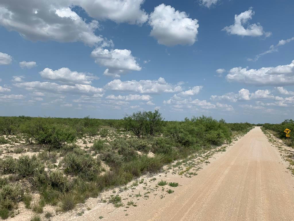 0 DUMP RD, IMPERIAL, TX 79743, photo 1 of 4