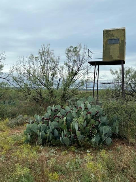 000 COUNTY RD 343, COLORADO CITY, TX 79512, photo 1 of 14