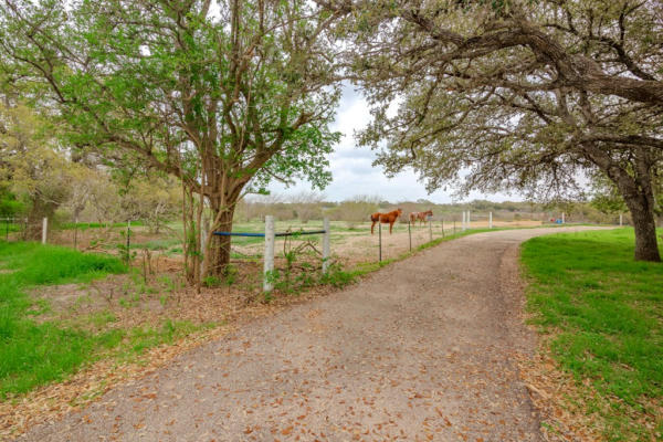 918 SCENIC LOOP DR, GOLIAD, TX 77963, photo 4 of 74